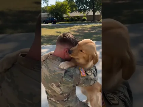 The Moment His Dog Realized He Was Home❤️