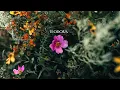 Trevor Kowalski - Teodora