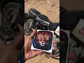 Download Lagu Tiger sticker for Royal Enfield #royalenfield #tiger #bullet #modified