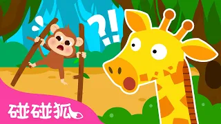 🙈 爱模仿的小猴子｜动物音乐剧｜Monkey See, Monkey Do｜故事儿歌｜儿童故事｜亲子阅读｜启蒙教育｜早教｜碰碰狐Pinkfong