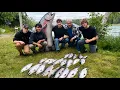 Fishing For Sockeye Salmon on the Kenai River in ALASKA