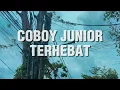 COBOY JUNIOR - Terhebat (Lirik)