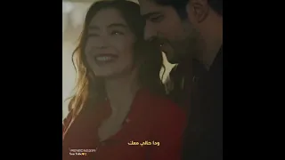 حالات واتس حب أجمل أحساس بالكون 