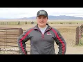 Western Rodeo 2022 UMW Athletics