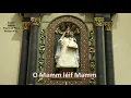 Download Lagu O Mamm léif Mamm   Nidderwooltz