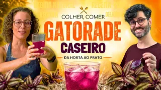 Gatorade caseiro: um isotônico NATURAL de plantas