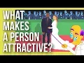 What Makes a Person Attractive?