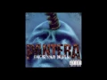 Pantera - I'm Broken (Audio)
