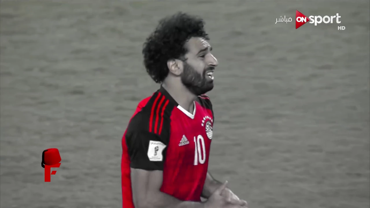 اللحظات الأخيرة من مباراة مصر والجزائر تصفيات كاس العالم 2010 (هدف عماد متعب 90+)