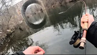 Winter Fly Fishing Native Species in the Lehigh Valley