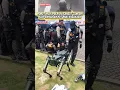 Robot Milik Polri Ini Akan Membuat Para Nitizen Kagum‼️#robot #robotdog #polri #densus88 #brimob