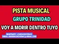 Grupo Trinidad   Voy a Morir Dentro Tuyo PISTA MUSICAL (instrumental)
