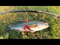 Plusinno telescopic fishing rod 50 Amazon challenge