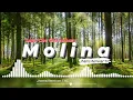 Download Lagu Lagu_Cha_Cha_Terbaru_Molina__Jhems TRC