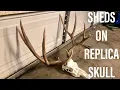 HOW TO MOUNT SHEDS TO REPLICA SKULL
