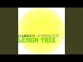 Download Lagu Lemon Tree