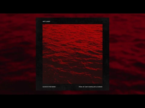 Download MP3 Witt Lowry - Blood In The Water