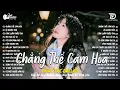 Lagu Nhạc Trẻ Ballad Hot Trend 2025 ♫ Top 30 Ca Khúc Nghe Day Dứt Về Nỗi Đau Tình Yêu - Chẳng Thể Cảm Hóa