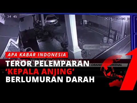 Detik-detik Rumah Jaksa di Pekanbaru Mendapat Teror Potongan Kepala Anjing | AKIM tvOne