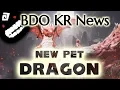 Young Red Dragon The New Pickup Pet in KR BDO Black Desert Online