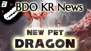 Young Red Dragon The New Pickup Pet in KR BDO Black Desert Online
