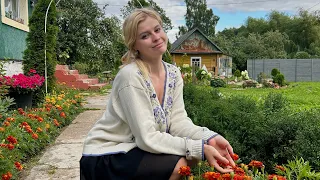 🕊️✨…Из прожитого.С благодарностью к жизни …🙏✨🕊️