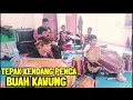 Download Lagu BUAH KAWUNG TEPAK DUA KENDANG PENCA