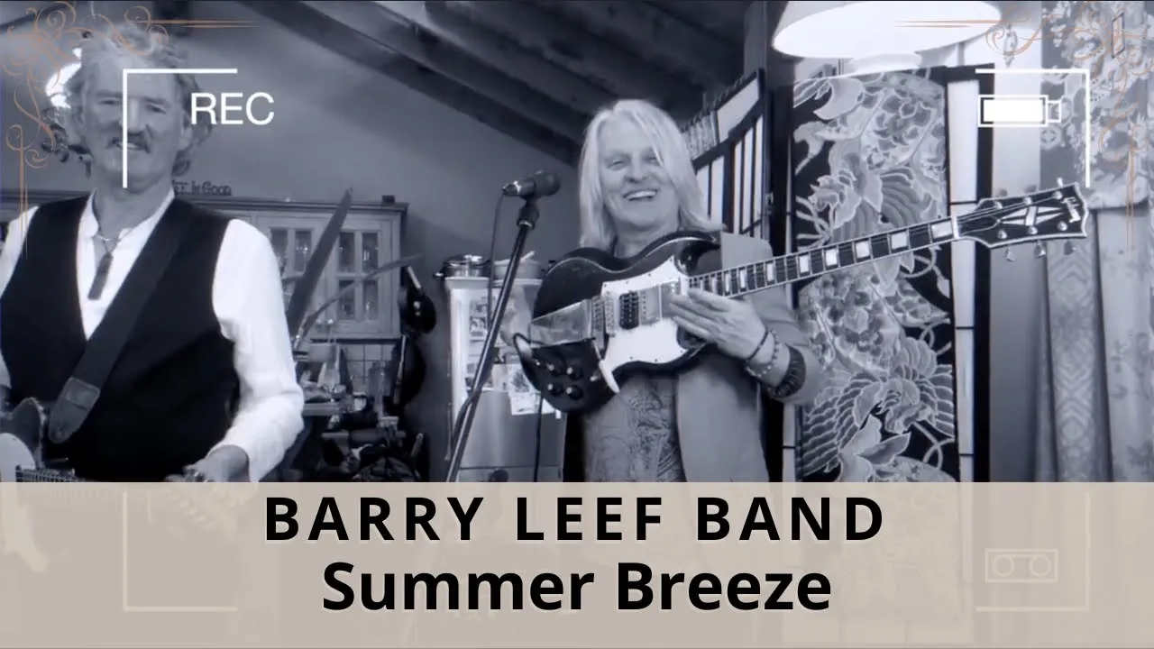 Summer Breeze (Seals and Crofts) cover by the Barry Leef Band