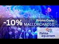Palma Aquarium - 10 Promo Code MALLORCARD10