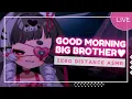 Download Lagu ASMR ┋ Your Little Sister is Schizophrenic ♡ Ear Cleaning, Hair Brushing, Affirmations 「3DIO/VTuber」