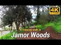 A relaxing walk in Jamor Woods - Portugal 4K ASMR