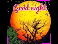 good night animation