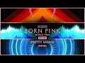 Lagu BLACKPINK - 'Pretty Savage ' | VISUAL | (BORNPINK WORLD TOUR ENCORE )