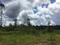 165 acres Hinds County