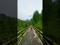 Download Lagu Ada yg pernah lewat jembatan ini😱⁉️#desapenari #kkndesapenari #pluyon #jogja #shortvideo #travel
