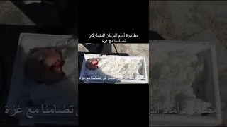 يا ضياء أخبر رسول الله دندنها