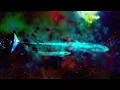 Monkey Safari - Safe (Visual Mix)