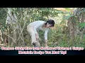 Download Lagu Bamboo Sticky Rice from Northwest Vietnam | Unique Mountain Recipe You Must Try!