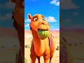 Download Lagu Kenapa Unta Kuat Makan Duri Kaktus! #shorts #animasi #kartun