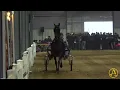 2025 Mid-America Trotting Sale - Day 2 AuctionPro