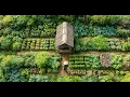 Download Lagu Planting Veggies, Harvesting Sapodilla \u0026 Bamboo Shoots – A Day in the Garden