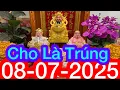 Download Lagu Tử vi 12 con giáp ngày 08 tháng 07 năm 2025