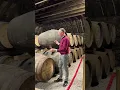 Download Lagu 50 Year Old Whisky straight from the barrel at the Glenfarclas distillery ! #whisky #glenfarclas