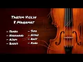 Download Lagu Violin Taqsim | 8 Maqamat
