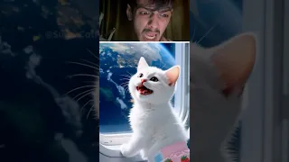 القطة الملعونه 