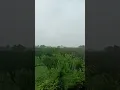Live seasonal rain