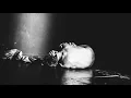 VOLOR FLEX - Day's End