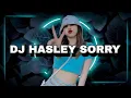 Download Lagu HASLEY SORRY - DJ VIRAL TIKTOK TERBARU - FYP TIKTOK - Adry WG - DANZ WG (edit)