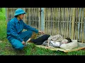 Full Video | A Single Mother Starts a New Life, Building a Small Bamboo House with Her Own Hands