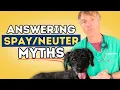 Dog Spay and Neuter Controversy What is the Right Time